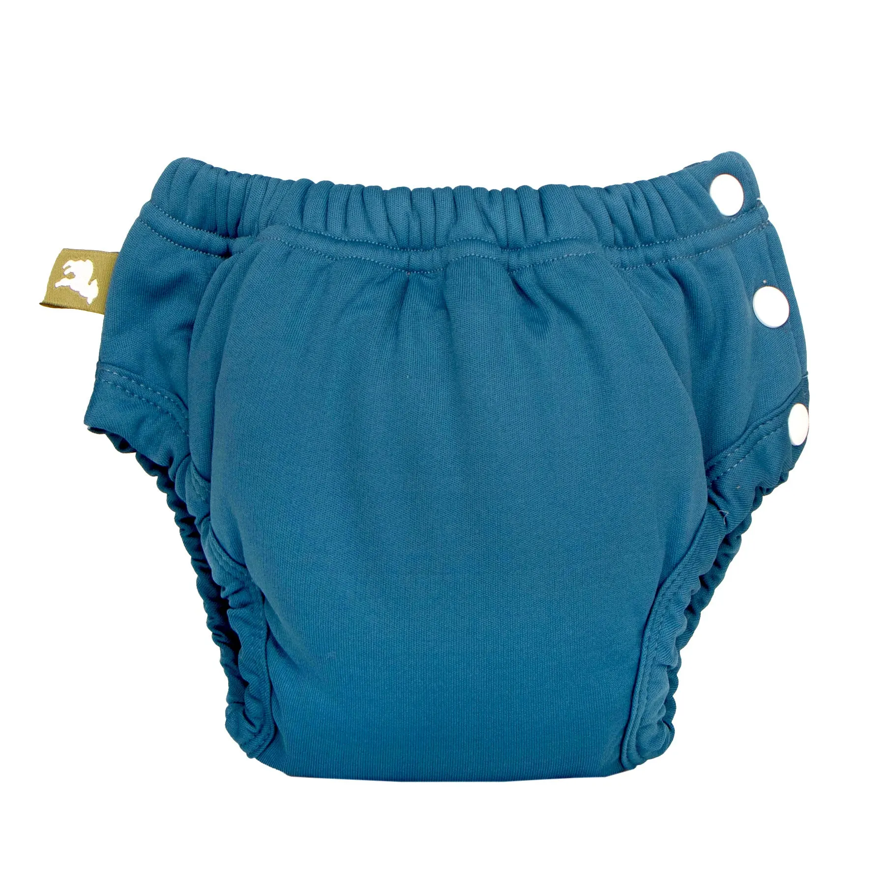 Potty Training Pants