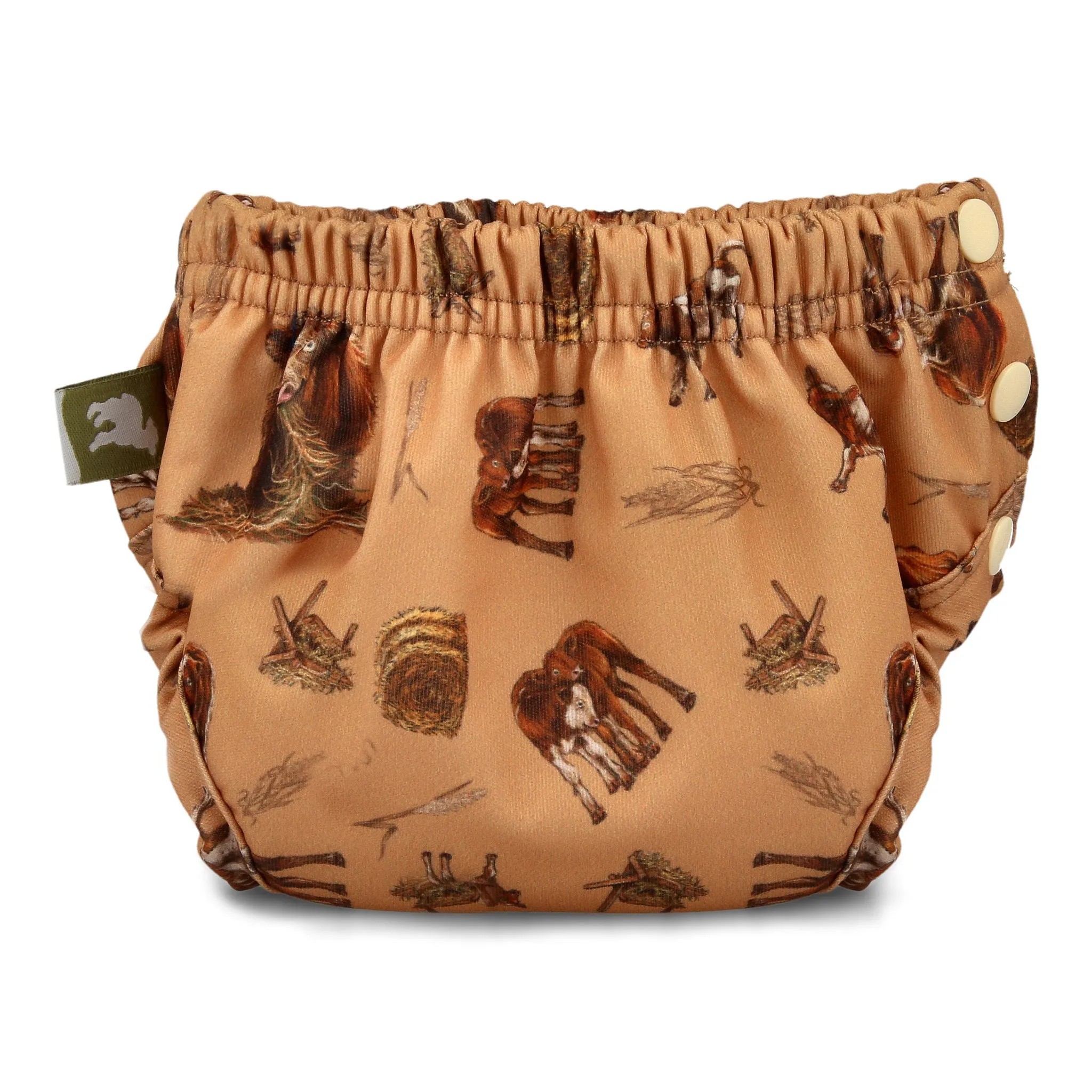 Potty Training Pants